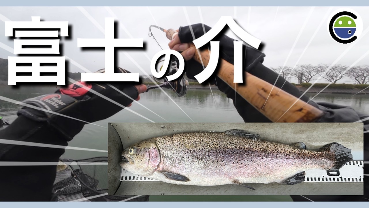これがキングサーモンの血を引く希少な魚の「富士の介」！【エリアトラウト】【東山湖フィッシングエリア】
