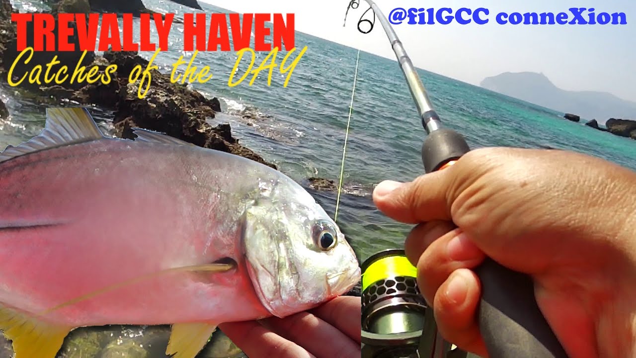 TREVALLY HAVEN | SHORELINE ANGLER | FISHING  @filGCC CONNEXION