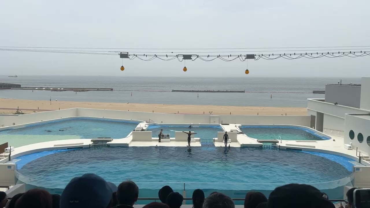 神戸須磨シーワールド【ドルフィンパフォーマンス】
