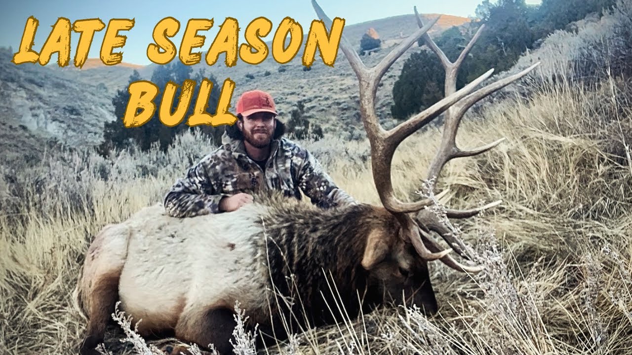 CHASING BIG WYOMING BULLS ON PUBLIC LAND. ELK HUNTING 2023.