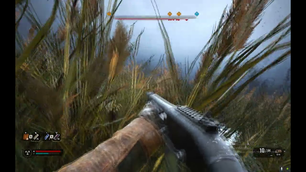 Stalker 2  контролёр на болотах