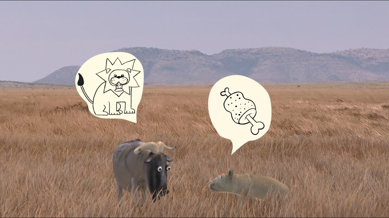 Wildebeest from YuLiu- African savannah 2.0#wildanimals