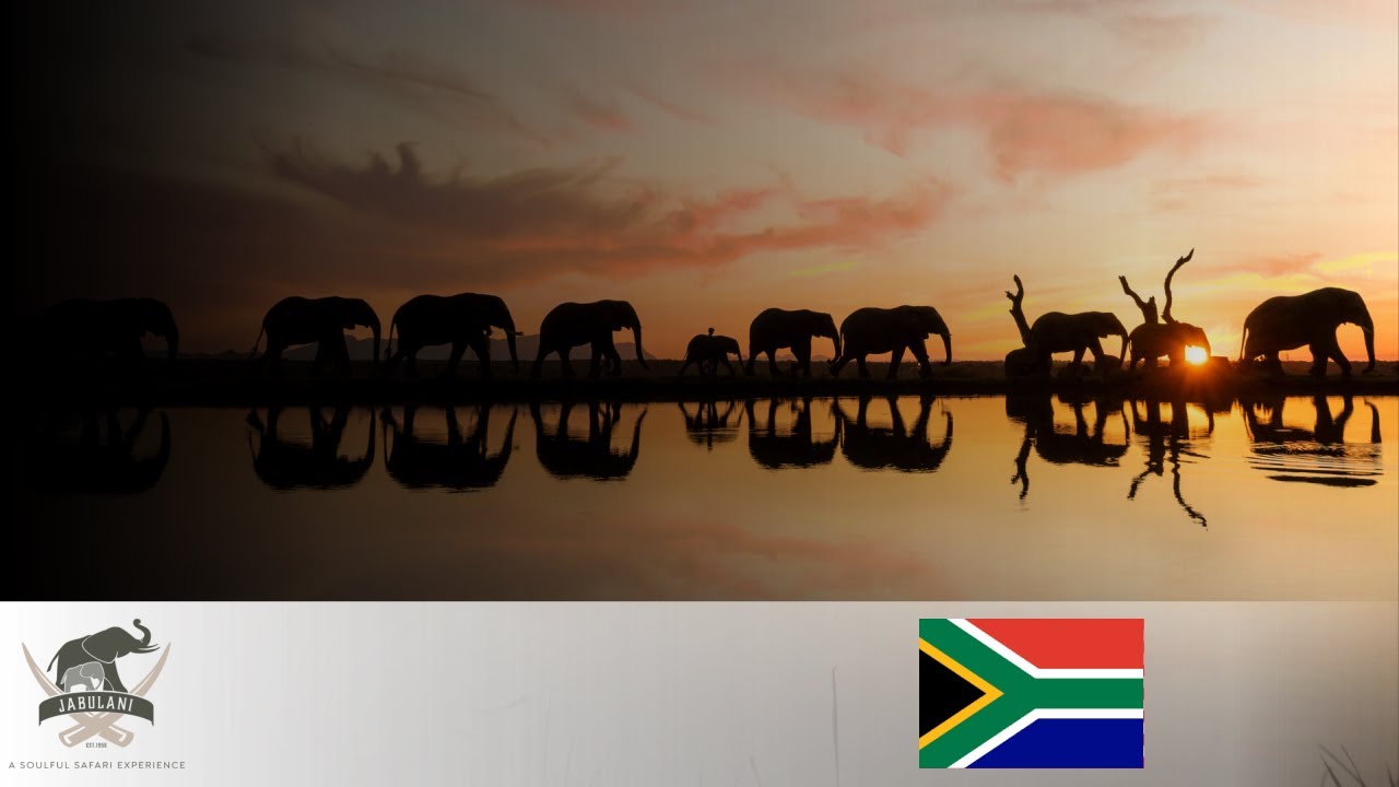 JABULANI SAFARI  I  KAPAMA PRIVATE GAME RESERVE LODGE  I  SOUTH AFRICAN VACATION