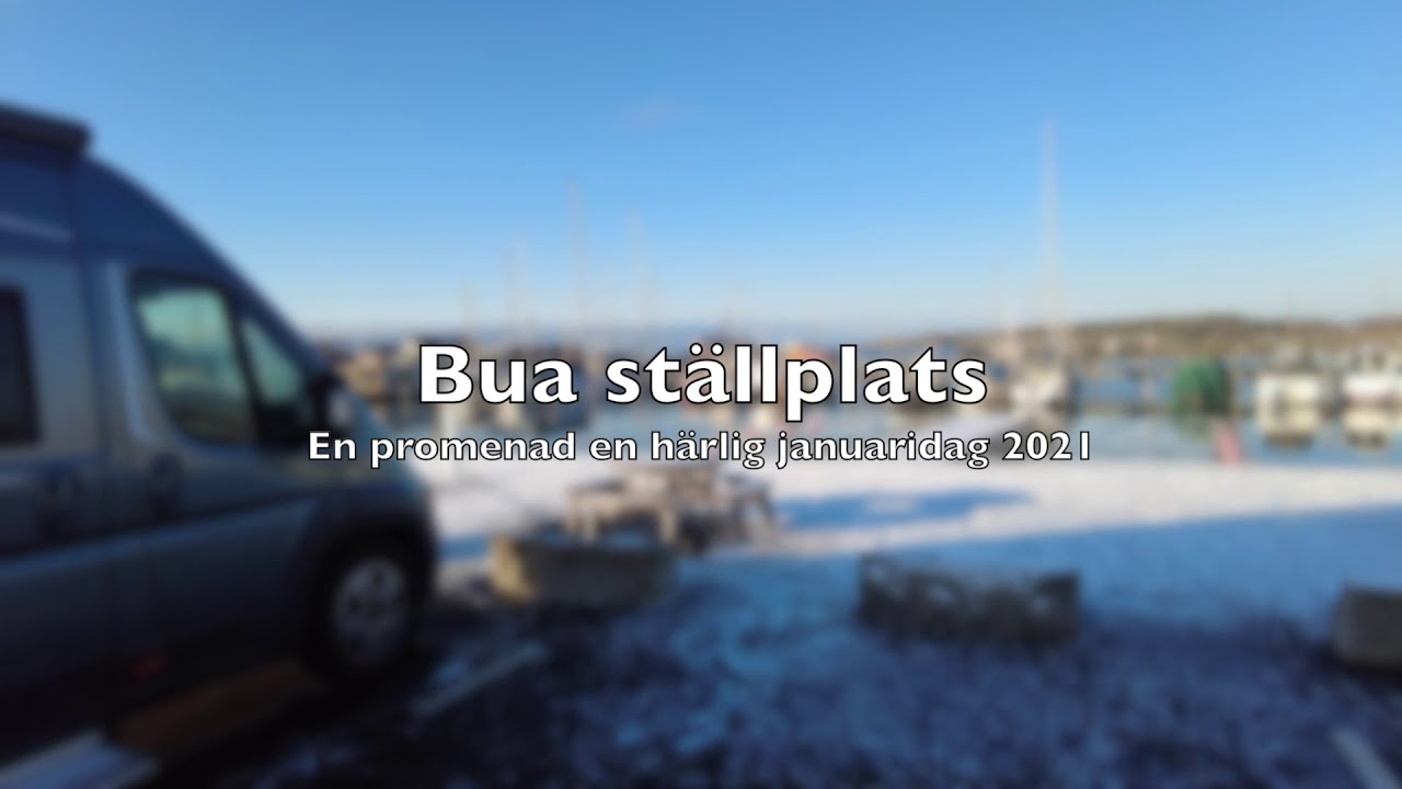 Bua januari 2021