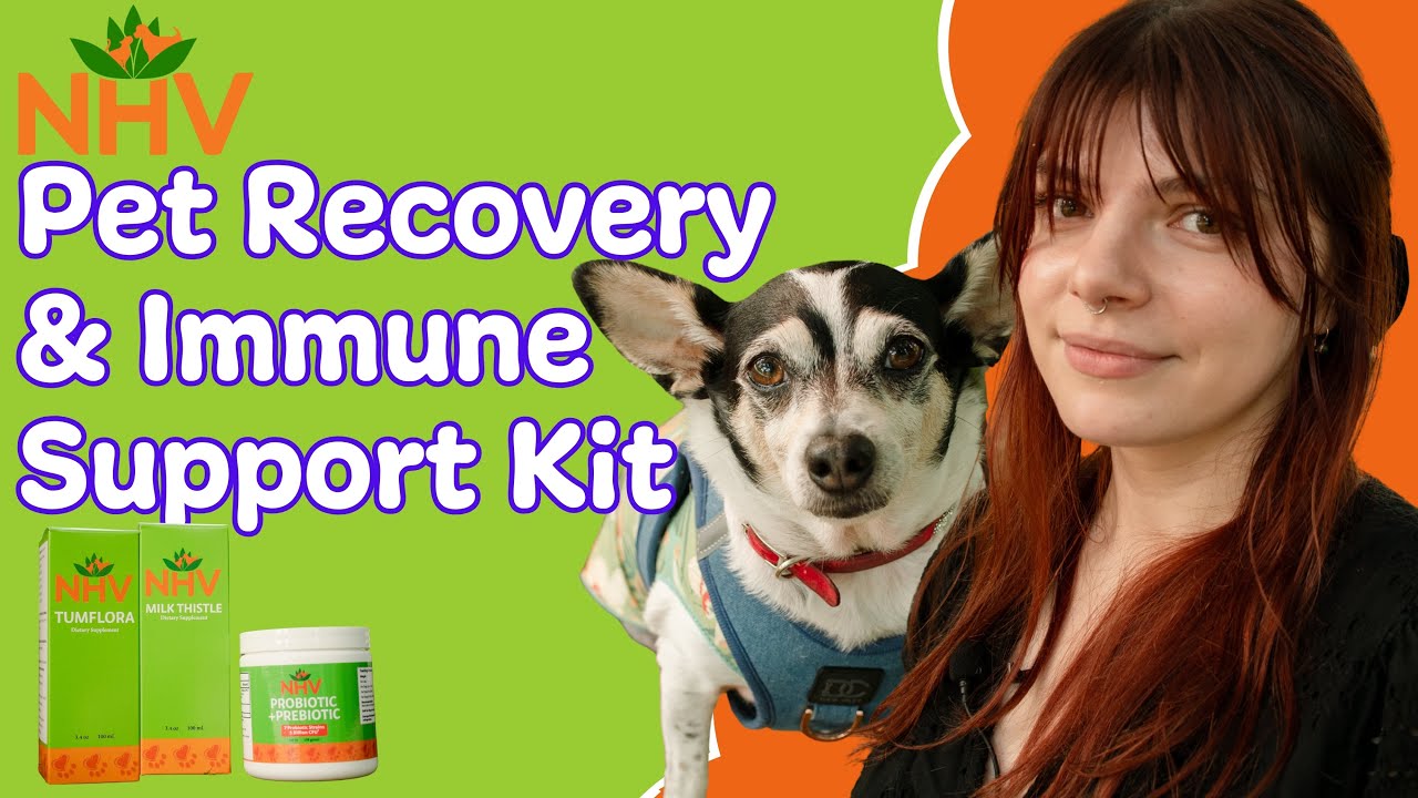 Introducing NHV Pet Recovery & Immune Support Kit