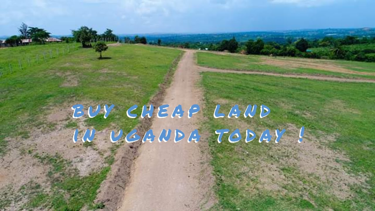 EP - 01 | Buy Cheap Land In Uganda In one of Our Well Developed Estate | Busika, Gayaza Zirobwe Road