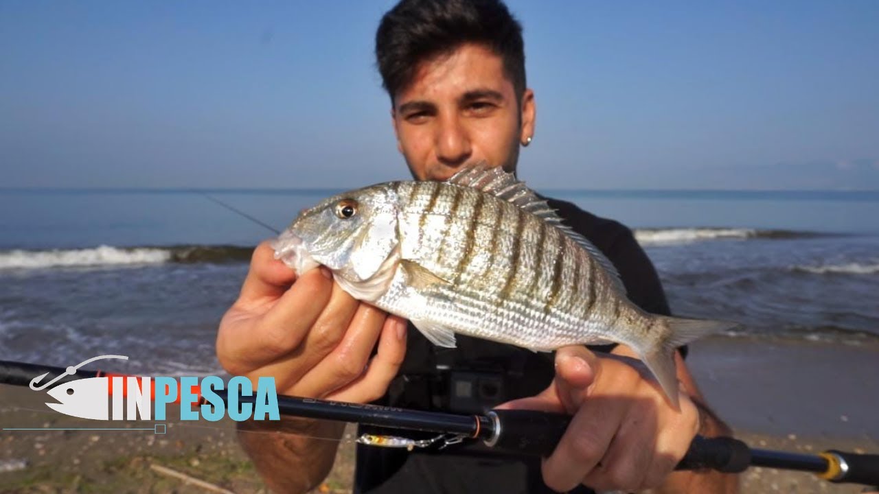 LIGHT JIGGING in FOCE | Pesca con i MICRO JIG - Mormore, Leccie Stella e Leccia Amia