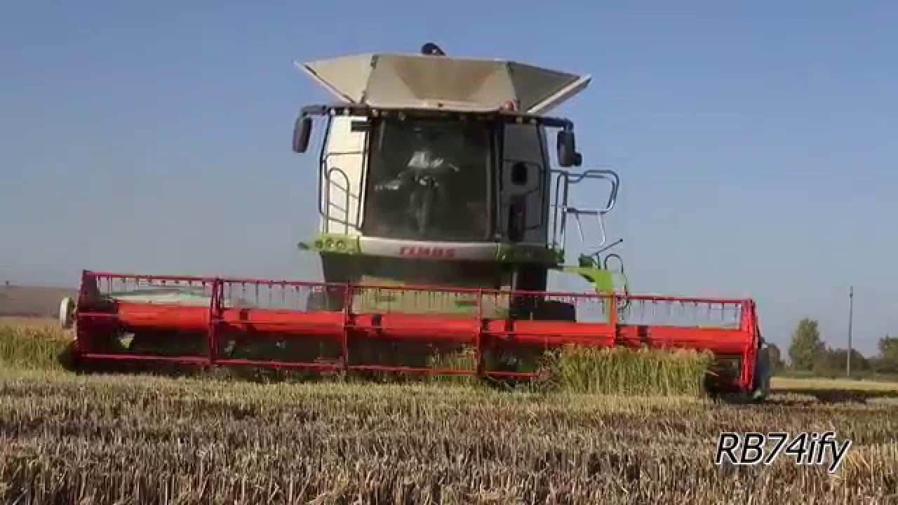 CLAAS Lexion 770 Terra Trac R750 - Rice Harvest 2015