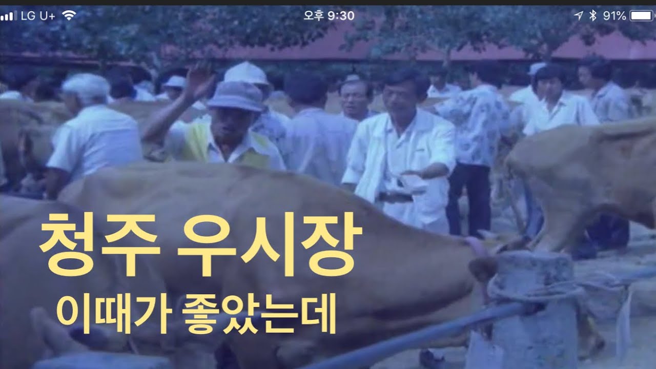 80년대 청주 풍경, 청주우시장 한국도자기 공장ㅣ 충북영상실록
