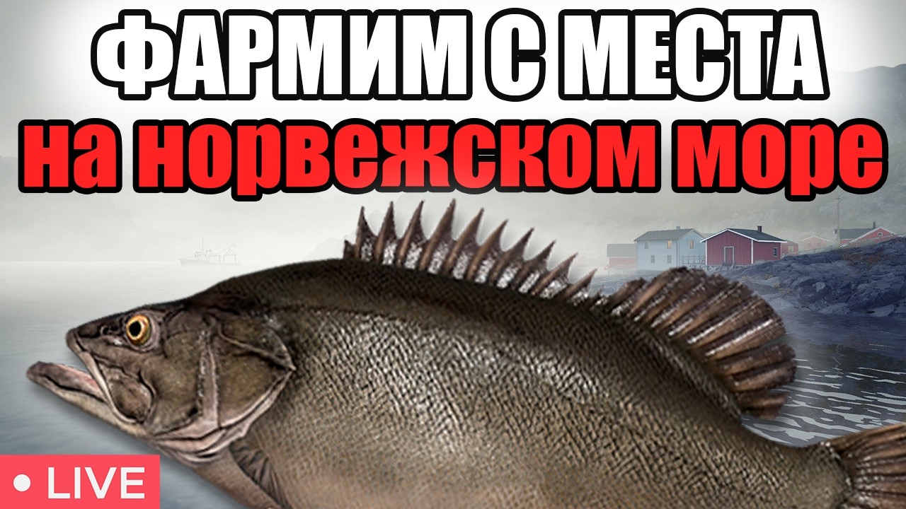 РР4 СТРИМ • ПРОВЕРЯЮ ГДЕ ЛУЧШЕ ФАРМ НА МОРЕ   •   РУССКАЯ РЫБАЛКА 4