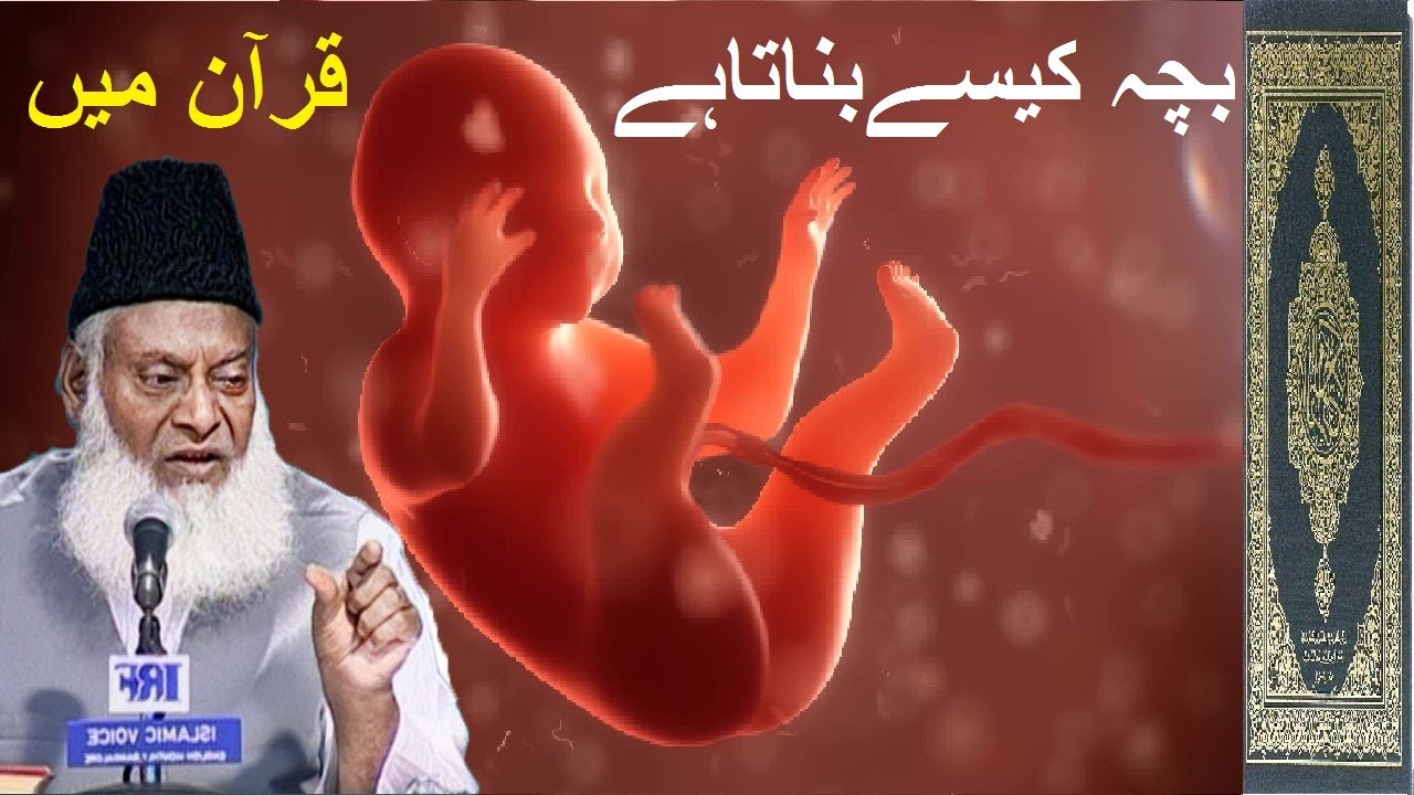 ALLAH Says in Quran How i Make Human Baby With Dr Israr Ahmed in Hindi Urdu