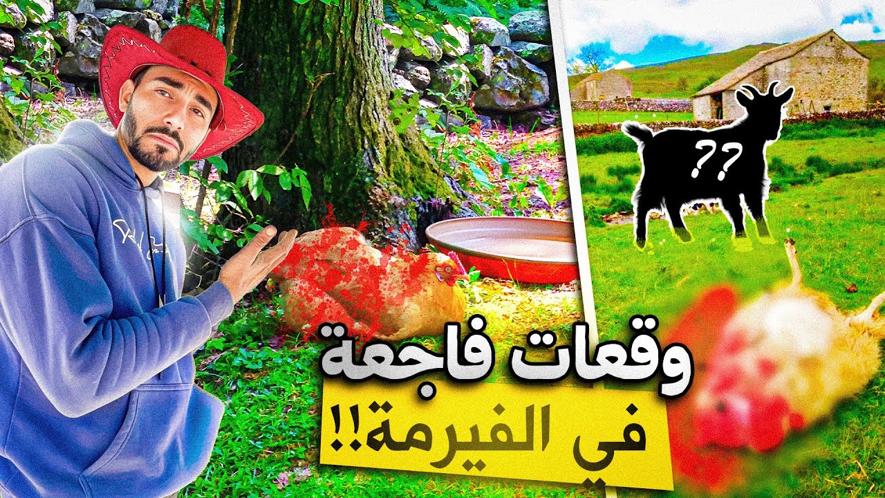 		كارثة وقعات فالڤيرمة🏡 وما فهمنا والو😱… شنو هو السبب الحقيقي؟ 😳 