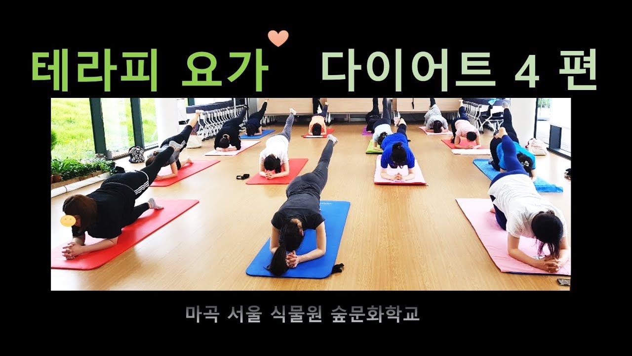 테라피요가 ll 테라피 요가  25  다이어트 (4편) 다운독  #플랭크 #스쿼트  #스완다이브  복부근력강화  #sit up  카루나 TV