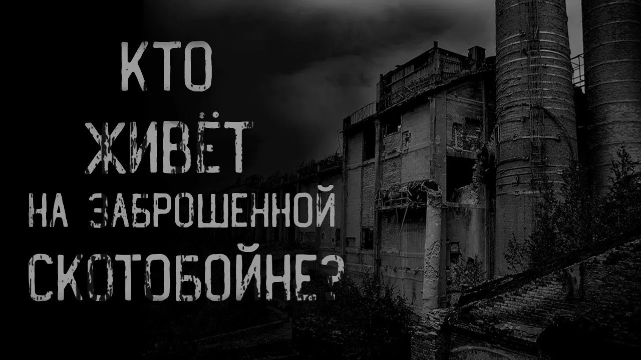 страшные истории   КТО ЖИВЁТ НА ЗАБРОШЕННОЙ СКОТОБОЙНЕ   ужасы   мистика