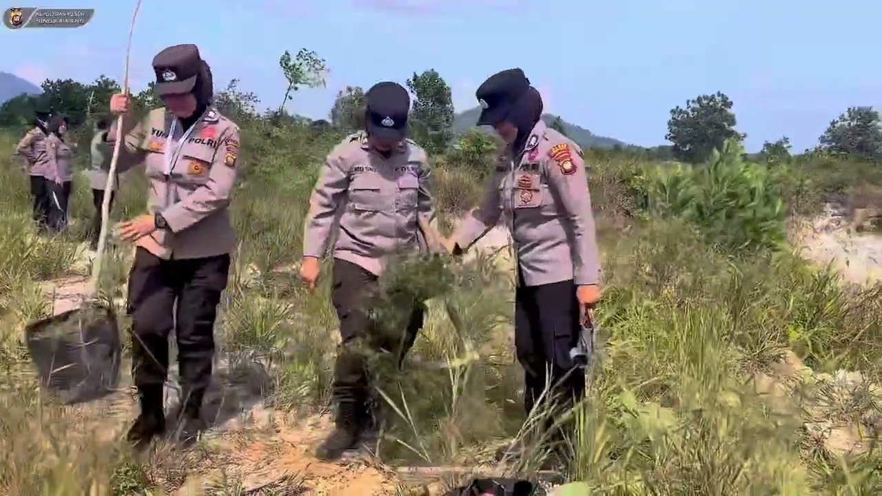 Dalam rangka Hari Jadi ke-77 Polwan RI, Polwan Polres Singkawang melaksanakan penanaman pohon