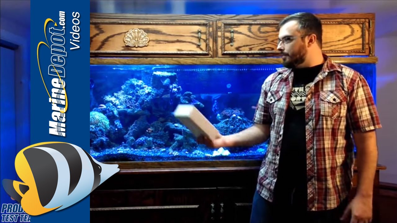 American Marine Pinpoint pH Monitor Review by Daniel - Marine Depot Product Test Team
