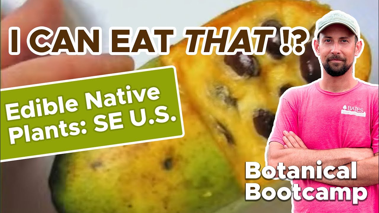 I can eat that?? Edible US Native Plants - Southeast Focus