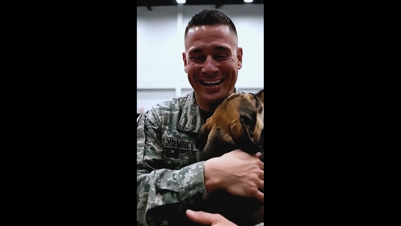 Animals find a new owner, and it makes you cry