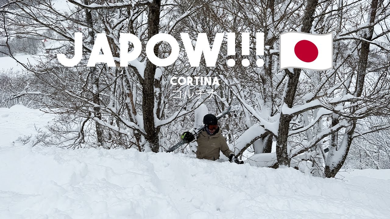 skiing at cortina hakuba ⛷️ 🇯🇵 japow is no joke!!