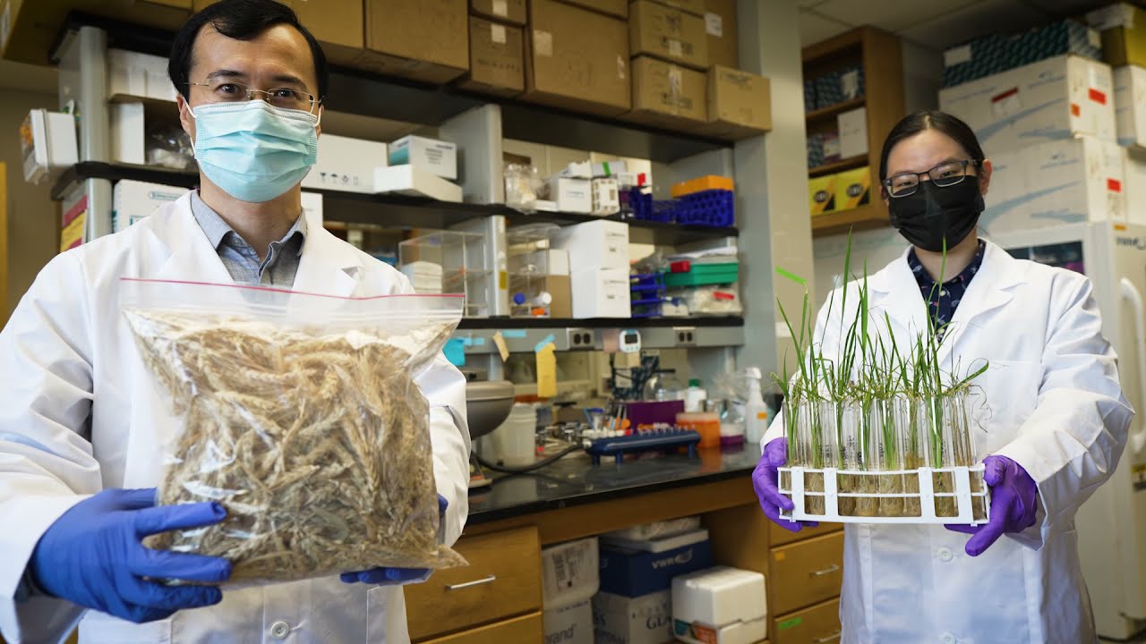 AGNR Researcher Wins UMD Invention of the Year in Life Sciences