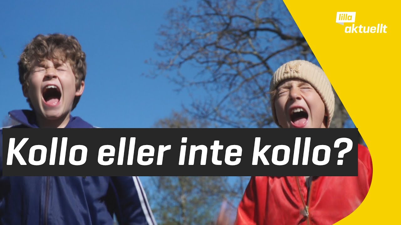 Kollosommar med Vide och Levi