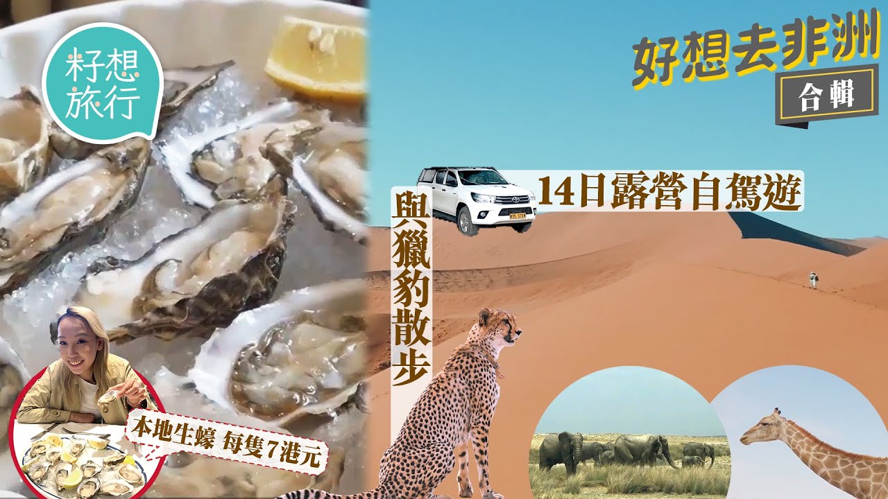 14日非洲納米比亞自駕環遊星空下露營 嘆本地龍蝦海鮮餐 $1,200與獵豹納米比亞原野中散步 #籽想旅行─果籽 香港 Apple Daily─原刊日期：20201225