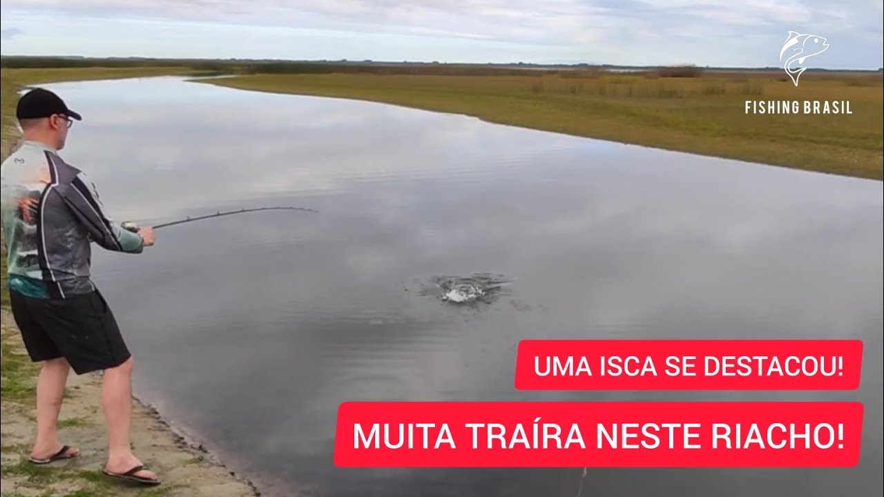 ERA TANTA TRAÍRA QUE PERDI AS CONTAS! Pescaria em Mostardas - RS. #fishing #fish #pesca #pescaria