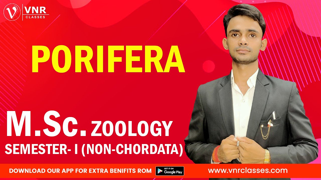 PORIFERA  || ZOOLOGY || NON CHORDATA || M.Sc.1st YEAR  || Prahalad Sir