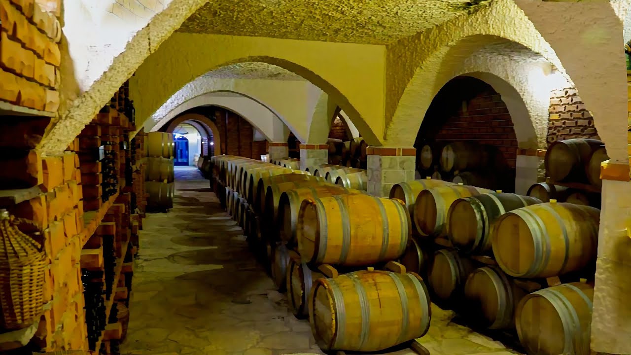 Matusko Winery Full Visit - Peljesac Peninsula - Croatia