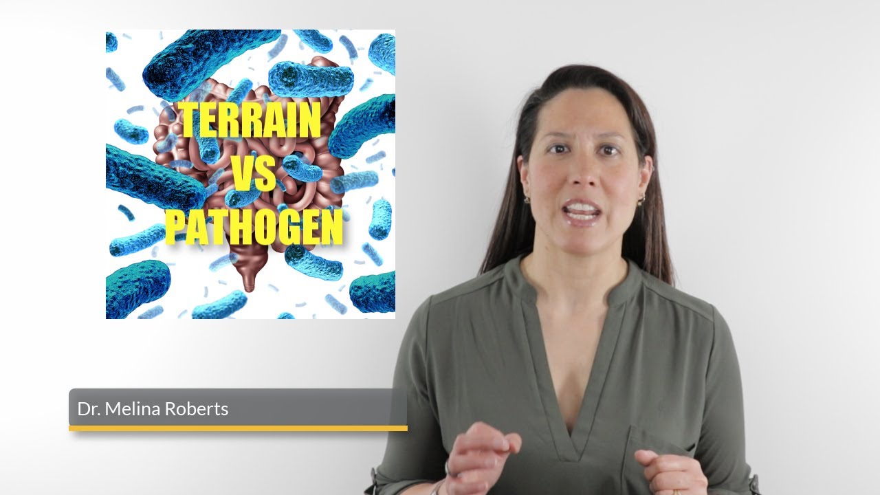 Terrain VS Pathogen