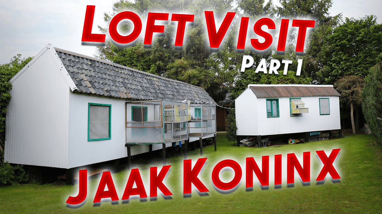 Loft visit at Jaak KONINX the RACING LOFTS part 1