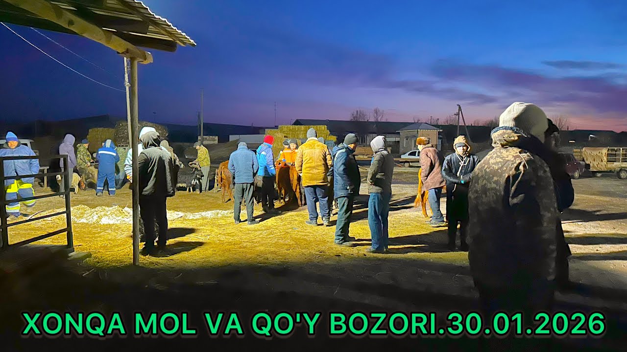 XONQA MOL VA QO'Y BOZORI.30.01.2026.ALIXON efirda