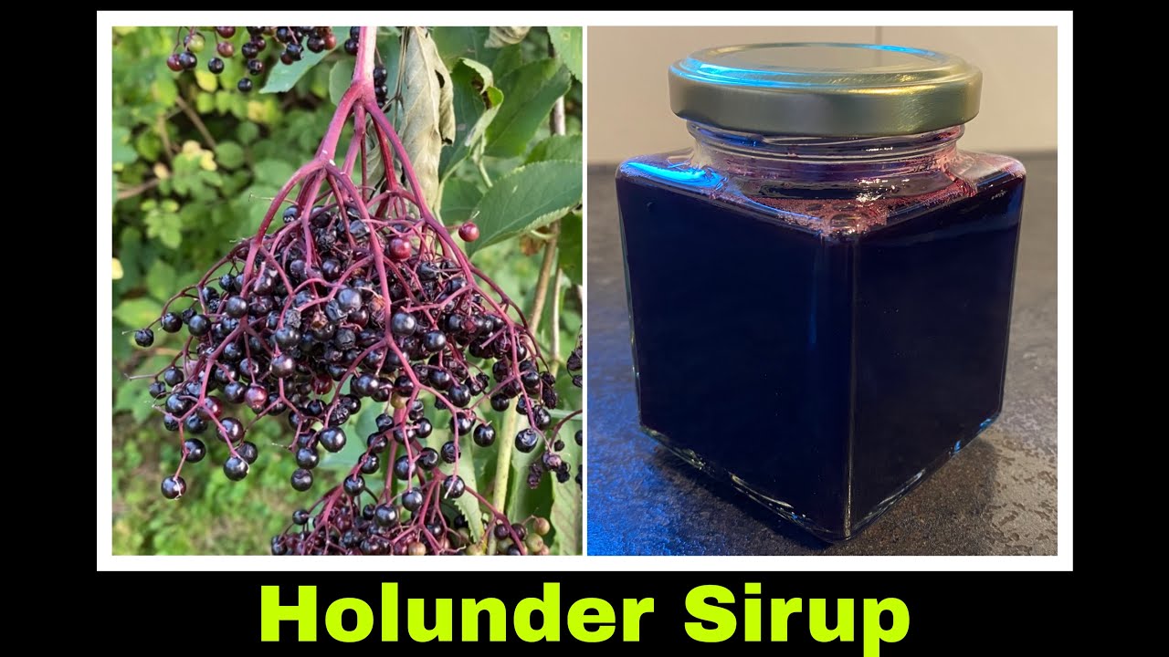 Holundersirup Sirup aus Holunderbeeren Rezept | Hollersaft ohne Dampfentsafter | Selbstversorgung 