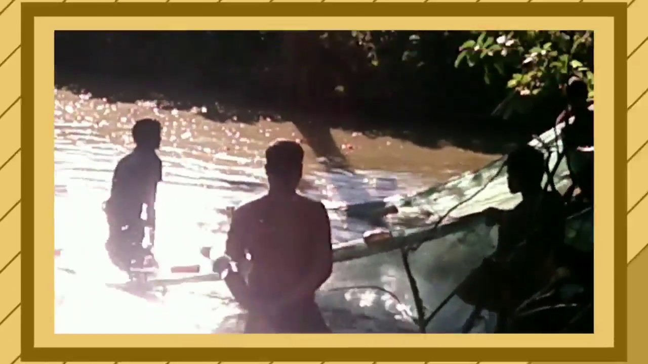 Amazing Fishing in Assam | North East India | Fish jumps out of Net into the water