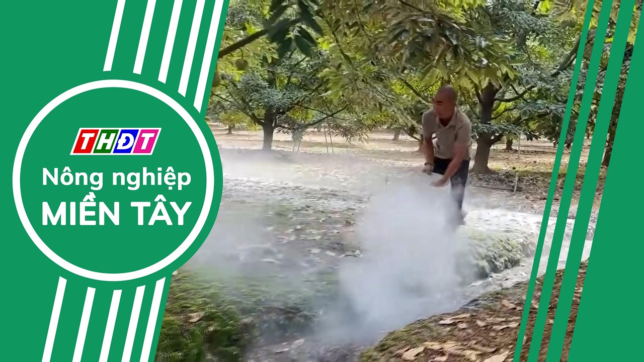 Vôi giúp nâng pH cải tạo đất vườn | Nông nghiệp Miền Tây