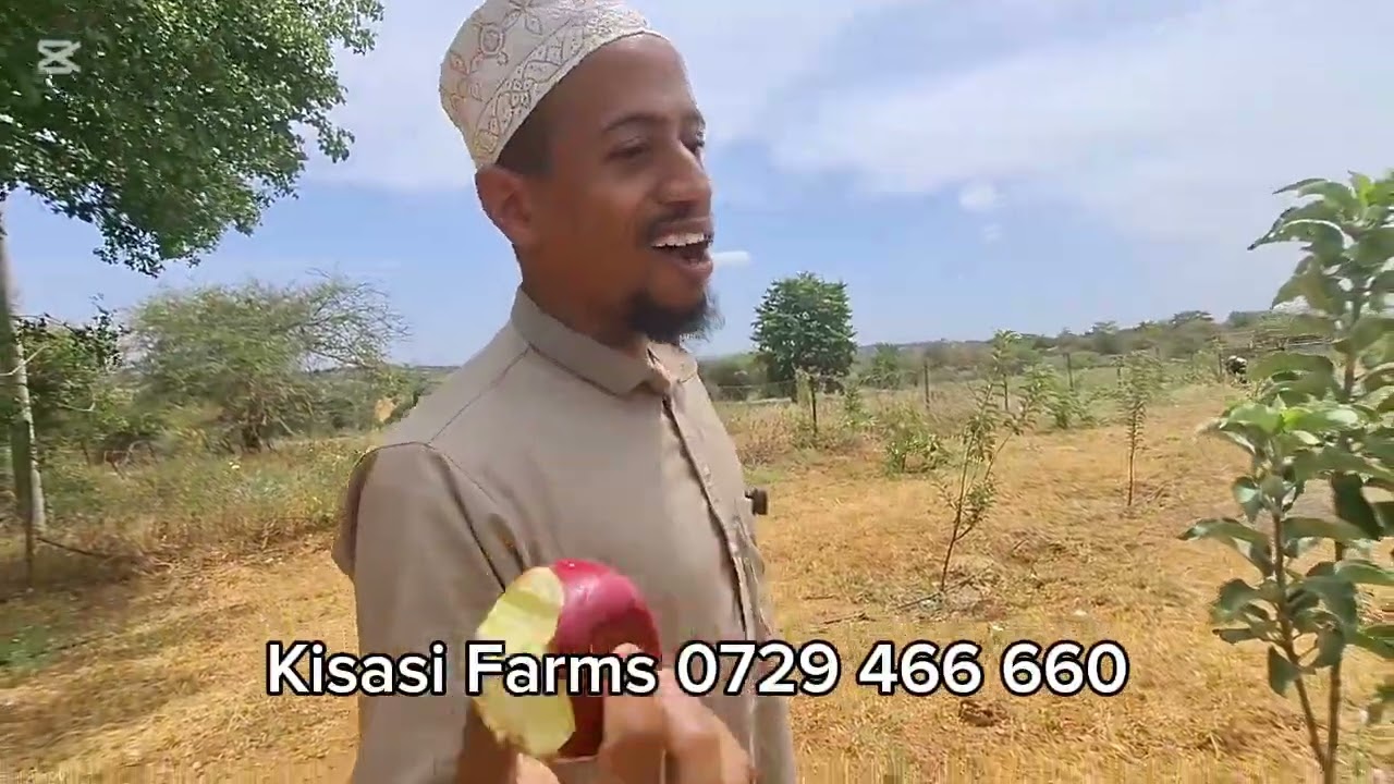 KISASI FARMS 0729466660