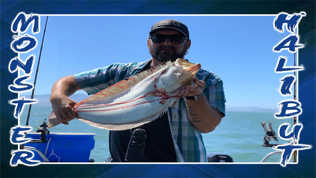 HALIBUT FISHING IS HOT! | SAN FRANCISCO BAY
