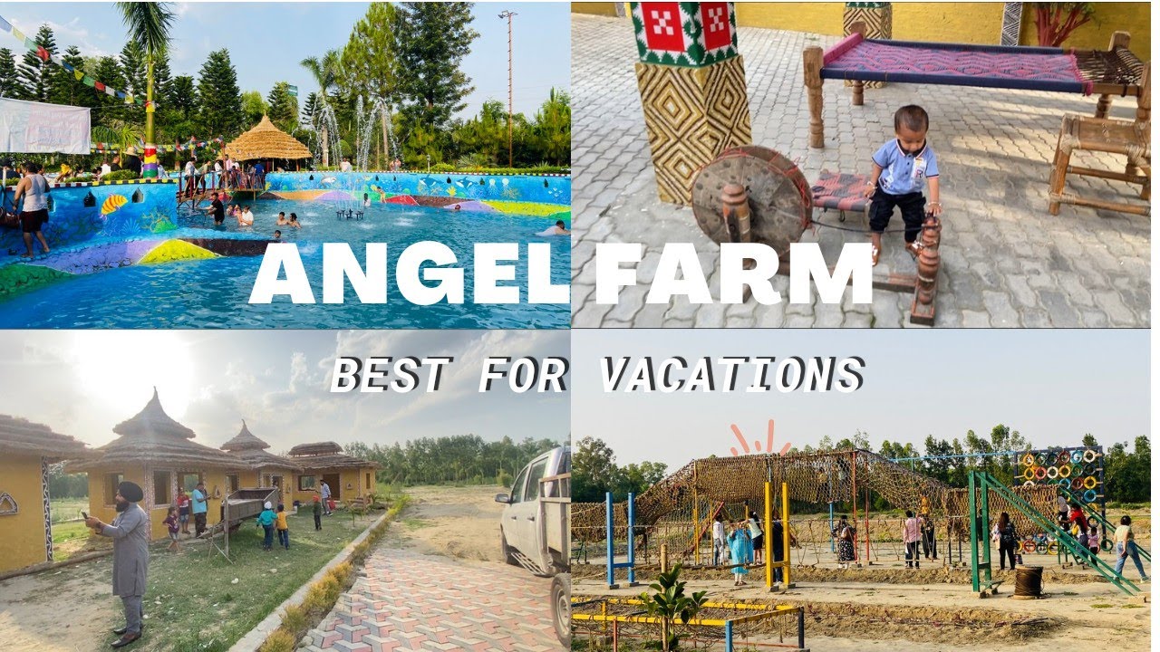 ANGEL FARM HOSHIARPUR || MINI KERALA || 50 Rs TICKET || POOL | RESTAURANT | VLOG