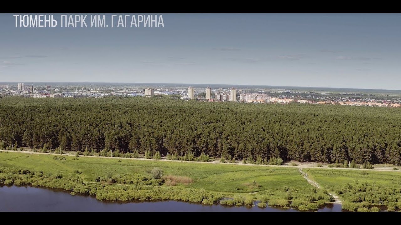 ТЮМЕНЬ 2020. Лесопарк им. Ю. Гагарина, ОБЗОР. ПРОГУЛКА по МЫСу, наткнулись на кладбище