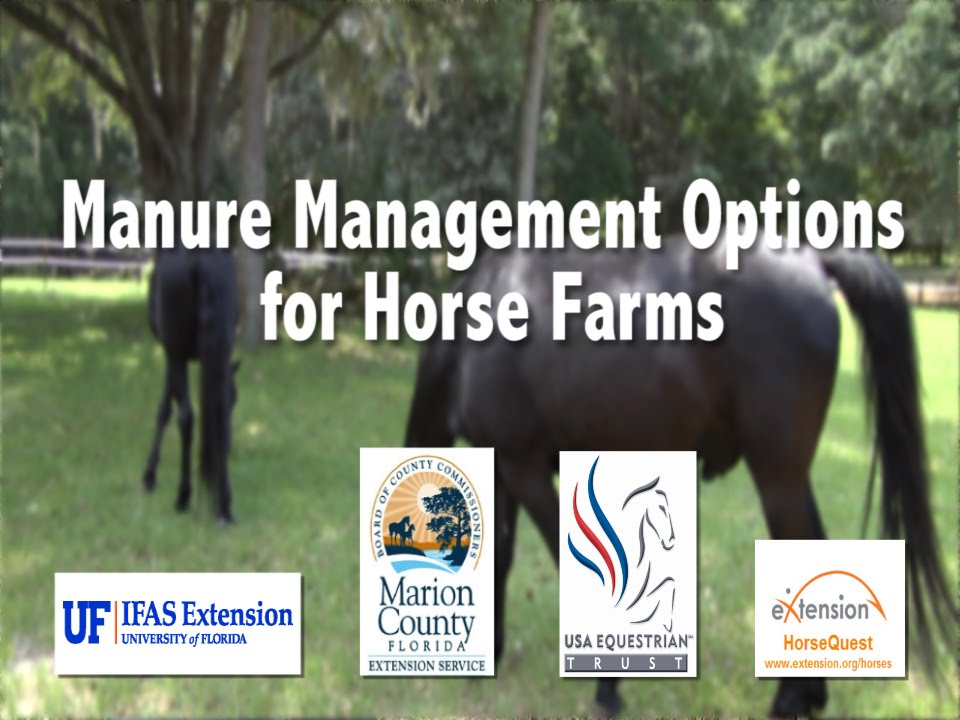 Manure Management Options for Horse Farms