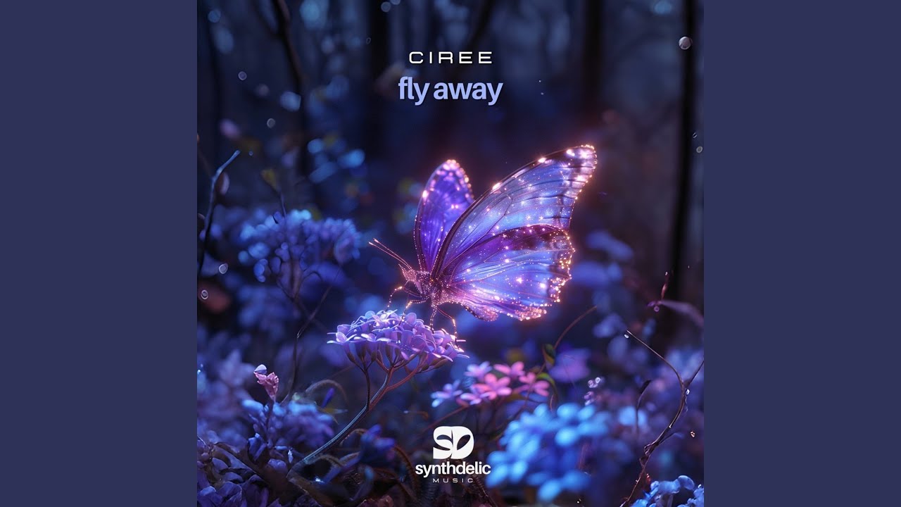 Fly Away (Extended Mix)