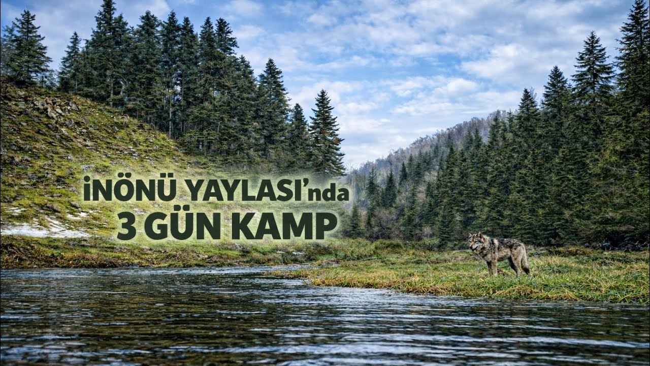 İnönü Yaylası Karavan Kampı