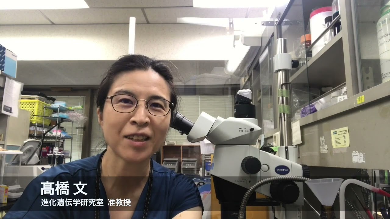 東京都立大学大学院　生命科学専攻　研究室紹介動画