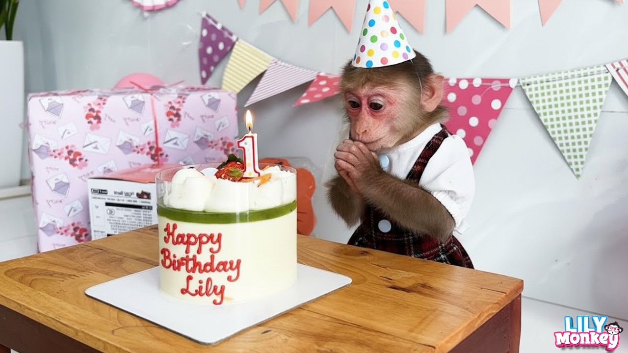 Lily’s Special Birthday Surprise from Dad! | Lily's story