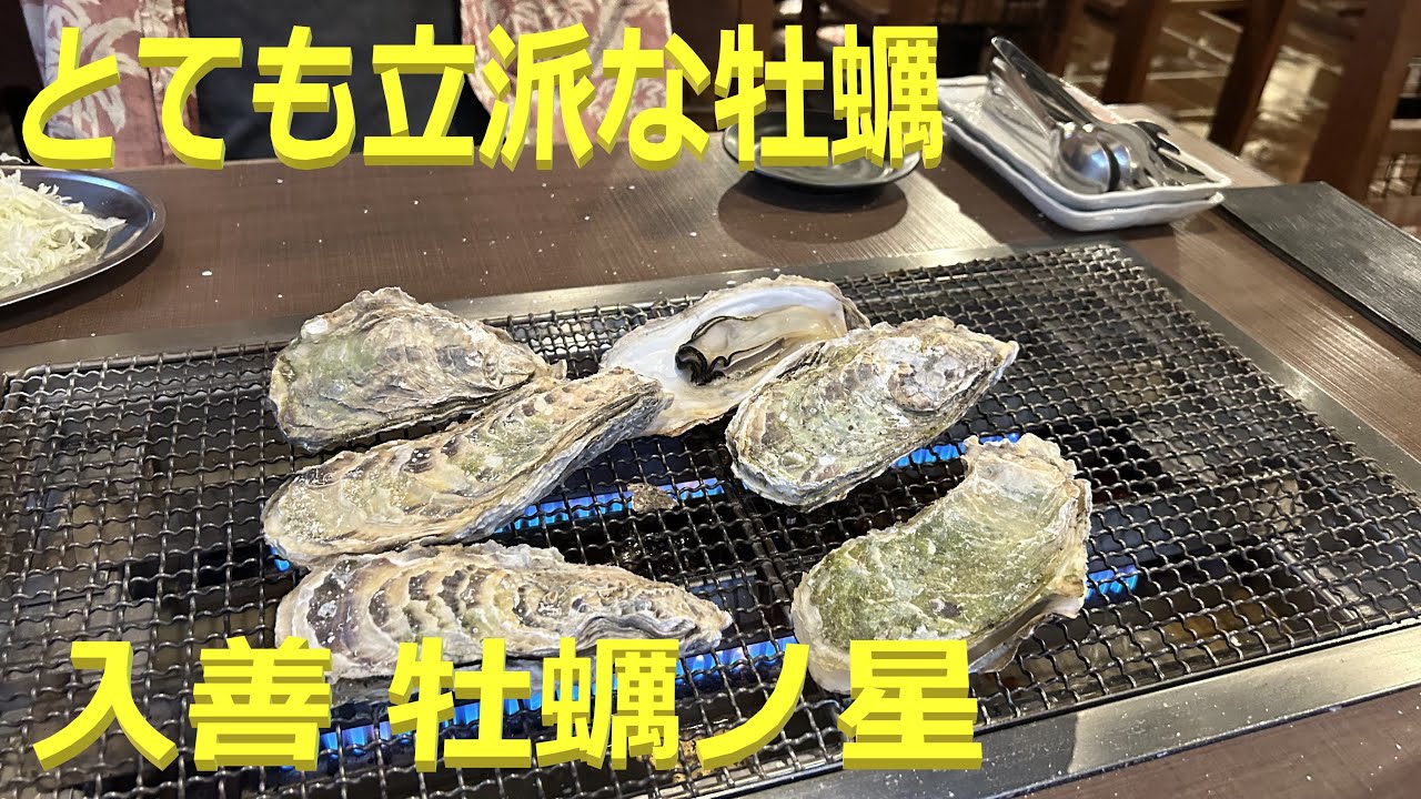とても大きくて立派な牡蠣 富山 入善 牡蠣ノ星 2023/10 カキ