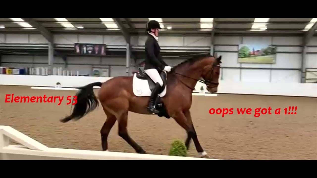 Elementary 53 66.62%