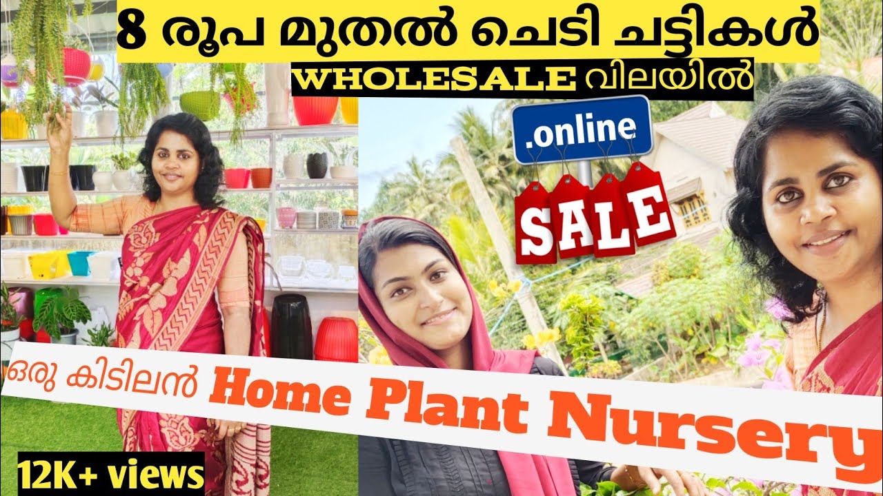 home plant nursery/Plant nursery visit malayalam/plants online sale/Petals plants and pots
