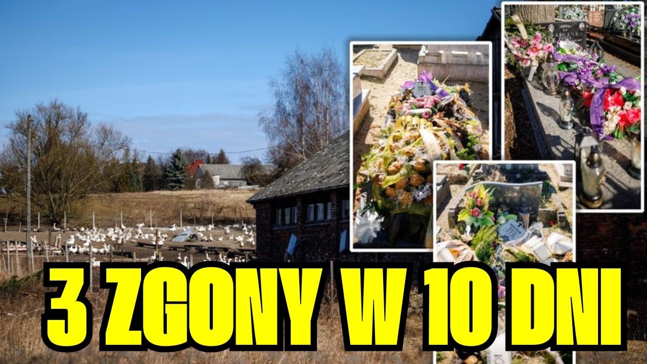Trzy zgony w 10 dni. Panika w Domaniewicach pod Olkuszem