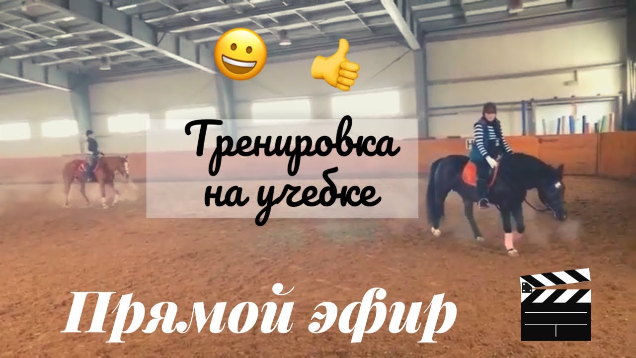 ТРЕНИРОВКА НА УЧЕБНЫХ ЛОШАДЯХ 🐴 01.02.2020