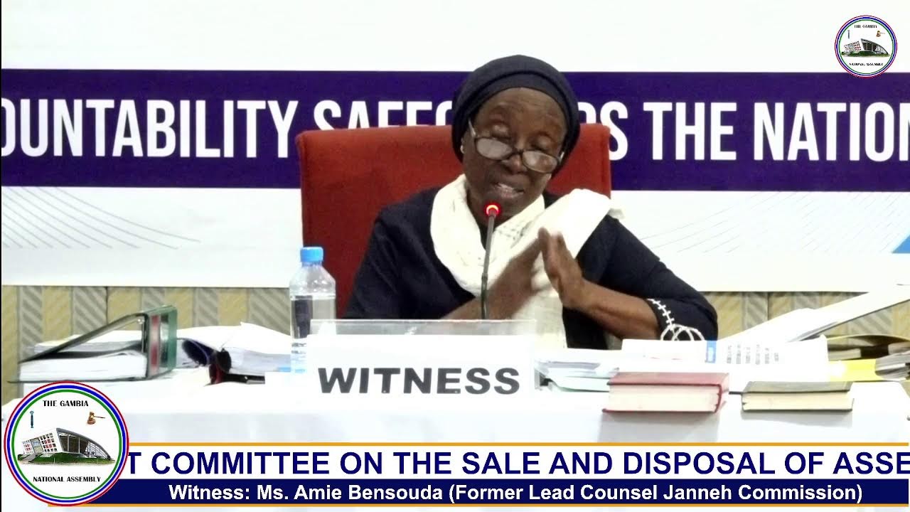 SPECIAL SELECT COMMITTEE ON THE SALE AND DISPOSAL OF ASSETS IDENTIFIED